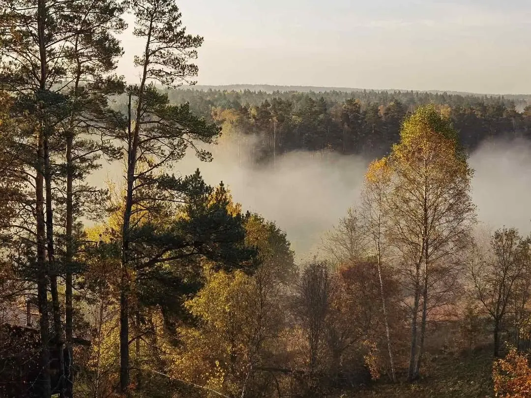 Дом на берегу реки Угра , Смоленская область: фото 4