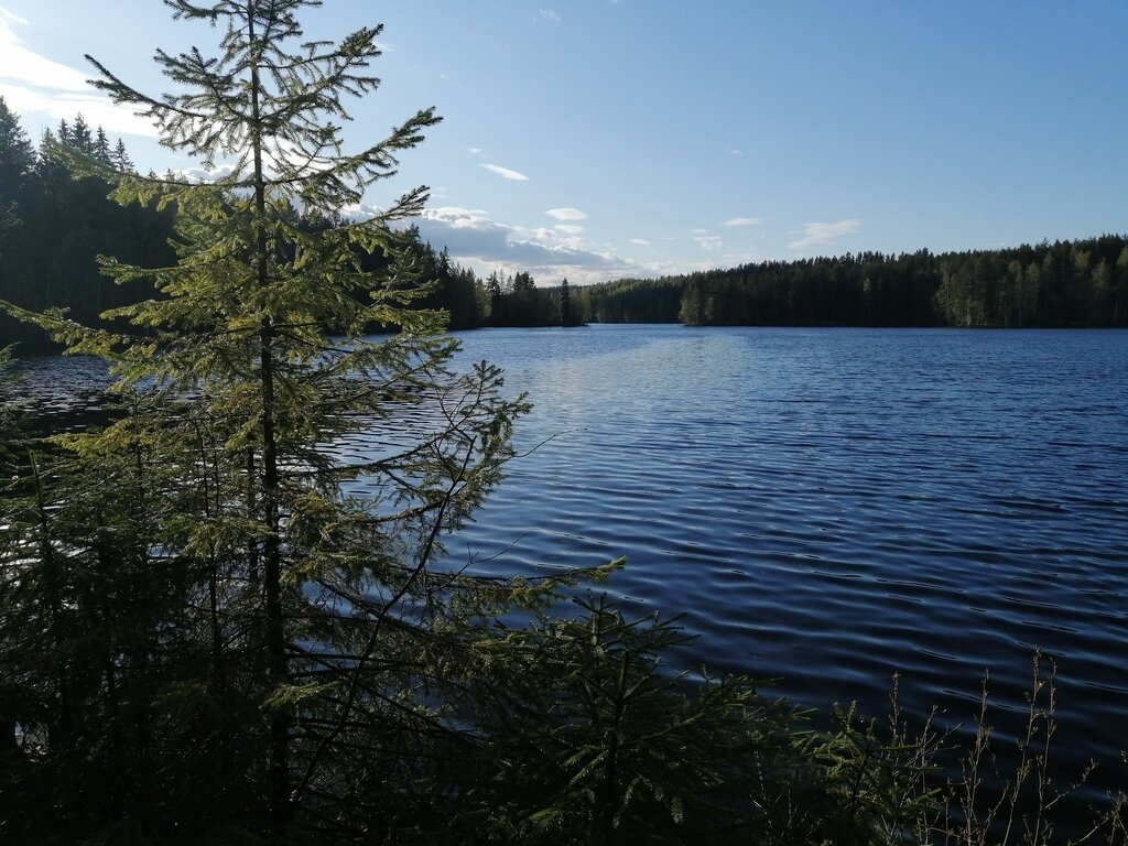 Фото из отзыва от 23.05.2022