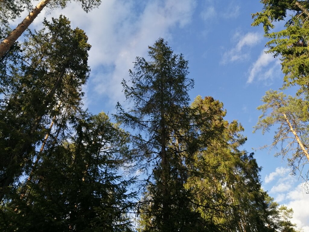 Фото из отзыва от 23.05.2022