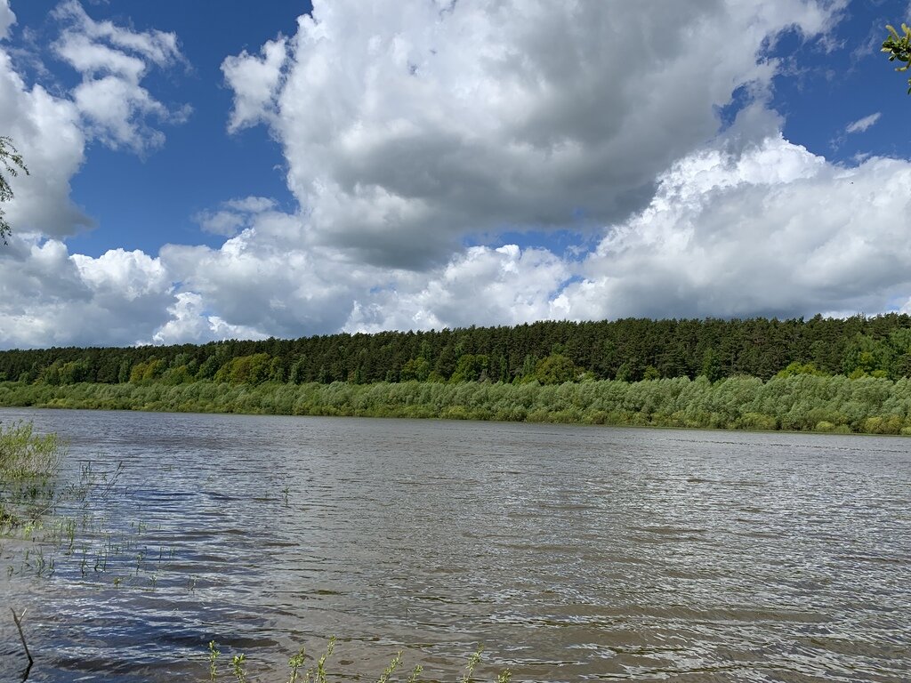 Фото из отзыва от 27.05.2022