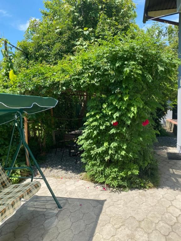 Территория | Green Garden, Сухумский район