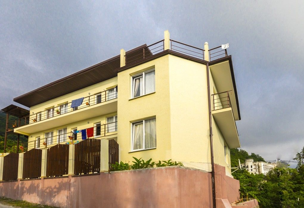 Внешний вид | Камила, Гагрский район