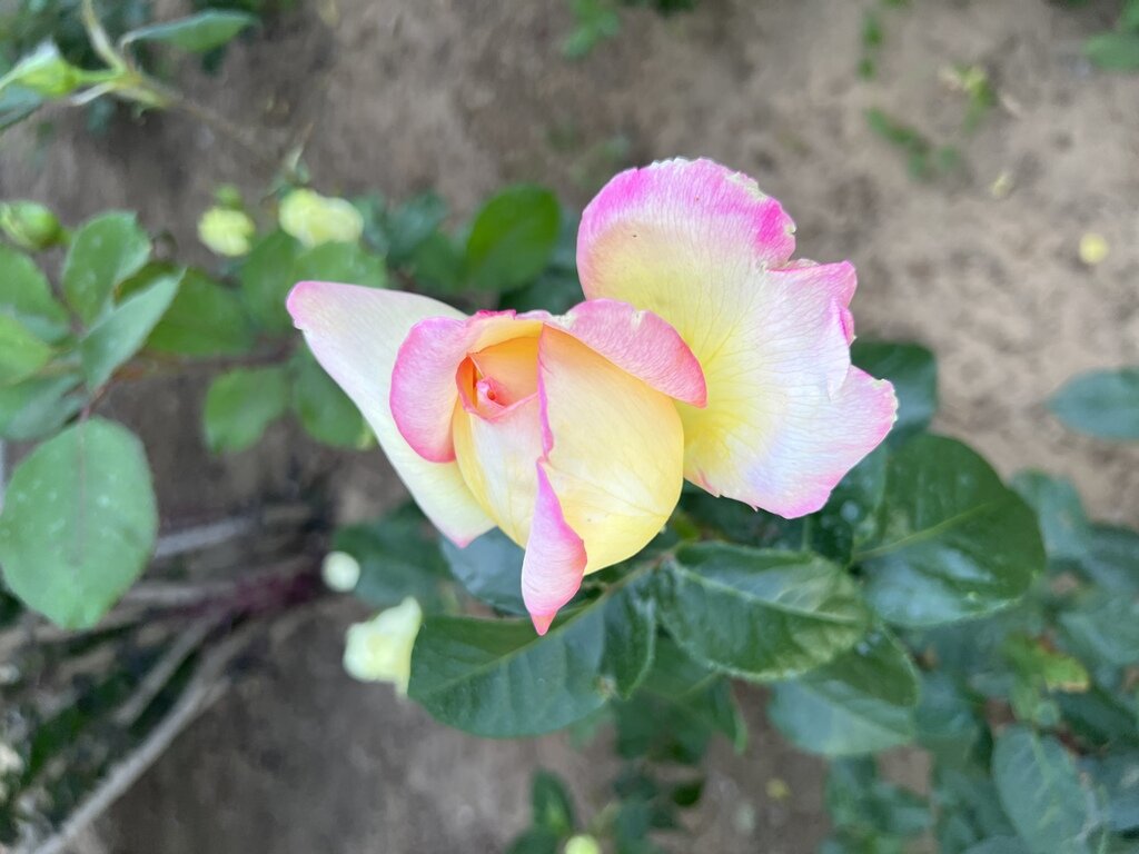 Фото из отзыва от 30.05.2022