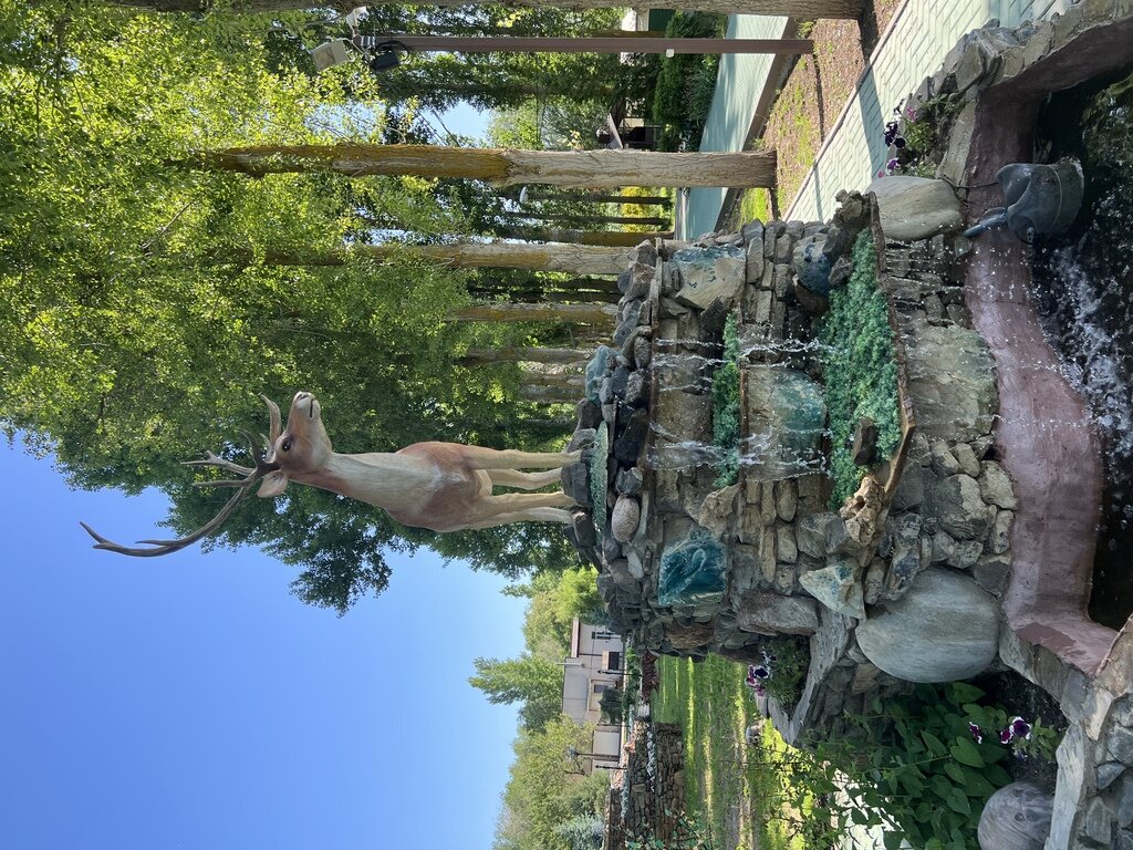 Фото из отзыва от 30.05.2022