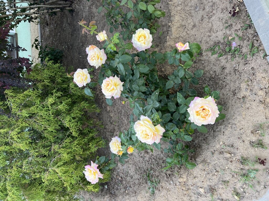 Фото из отзыва от 30.05.2022