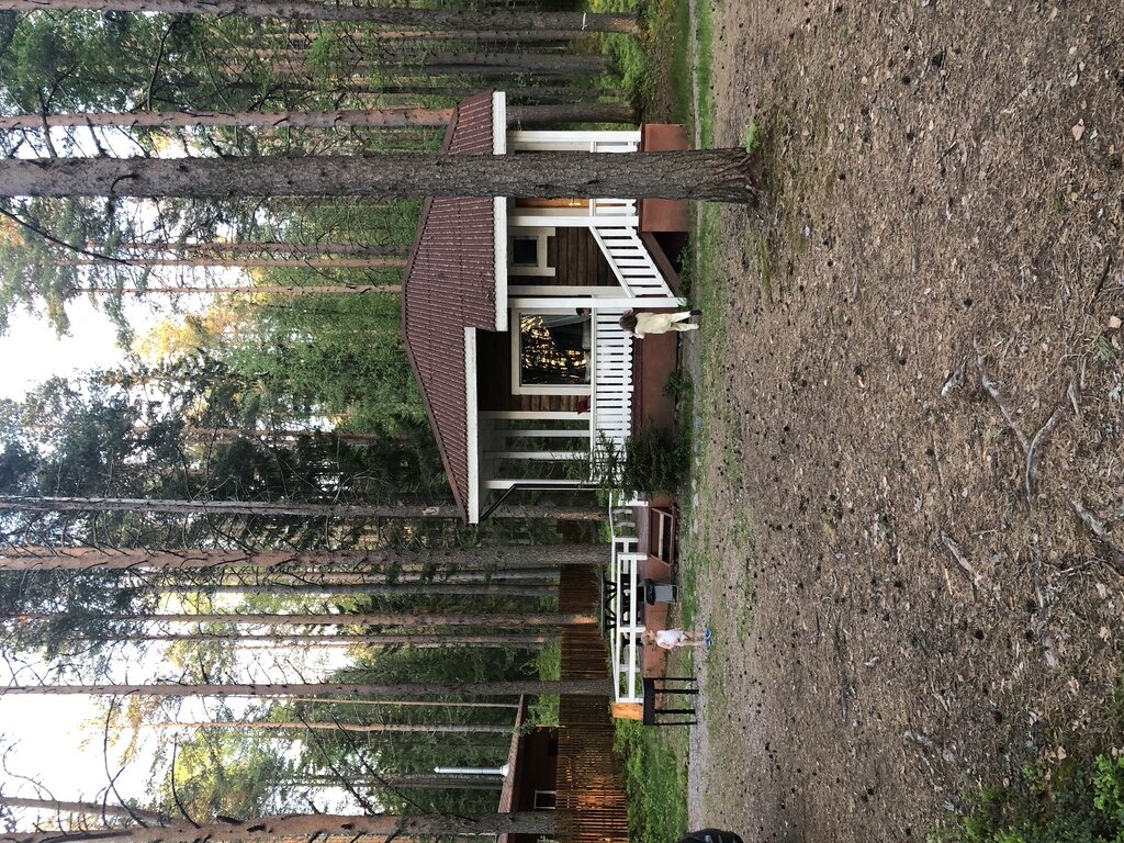 Фото из отзыва от 06.06.2022