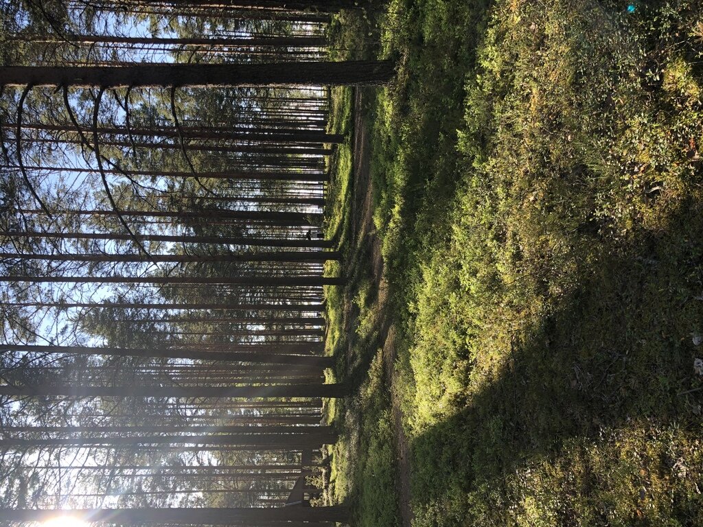 Фото из отзыва от 06.06.2022