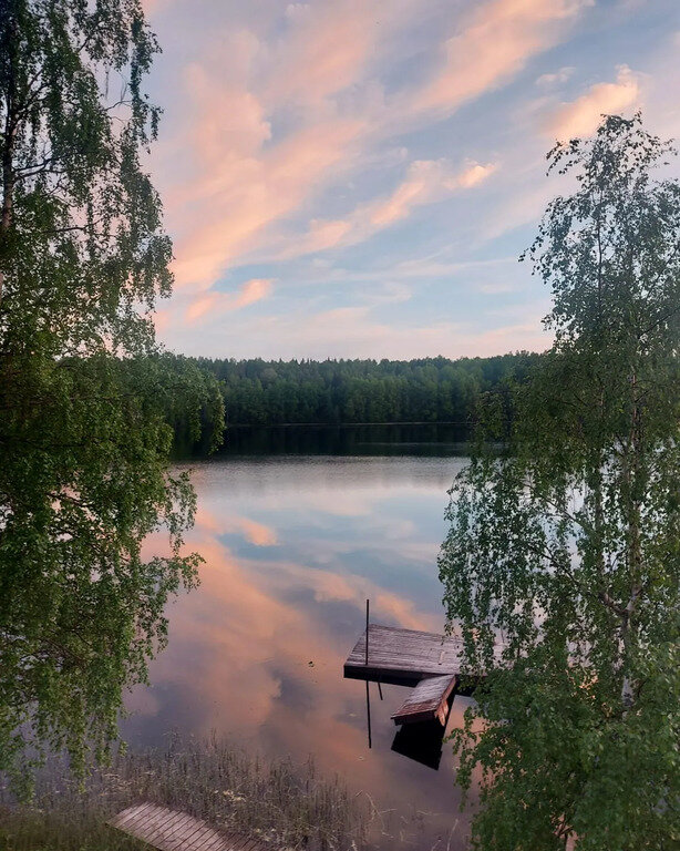 Фото из отзыва от 11.06.2022