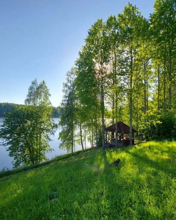 Фото из отзыва от 11.06.2022