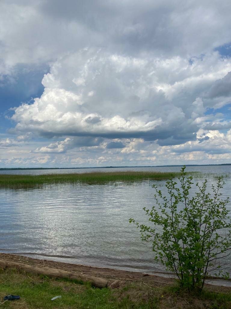 Фото 4 из отзыва об эко-комплексе База отдыха и экоферма Старый Сиг