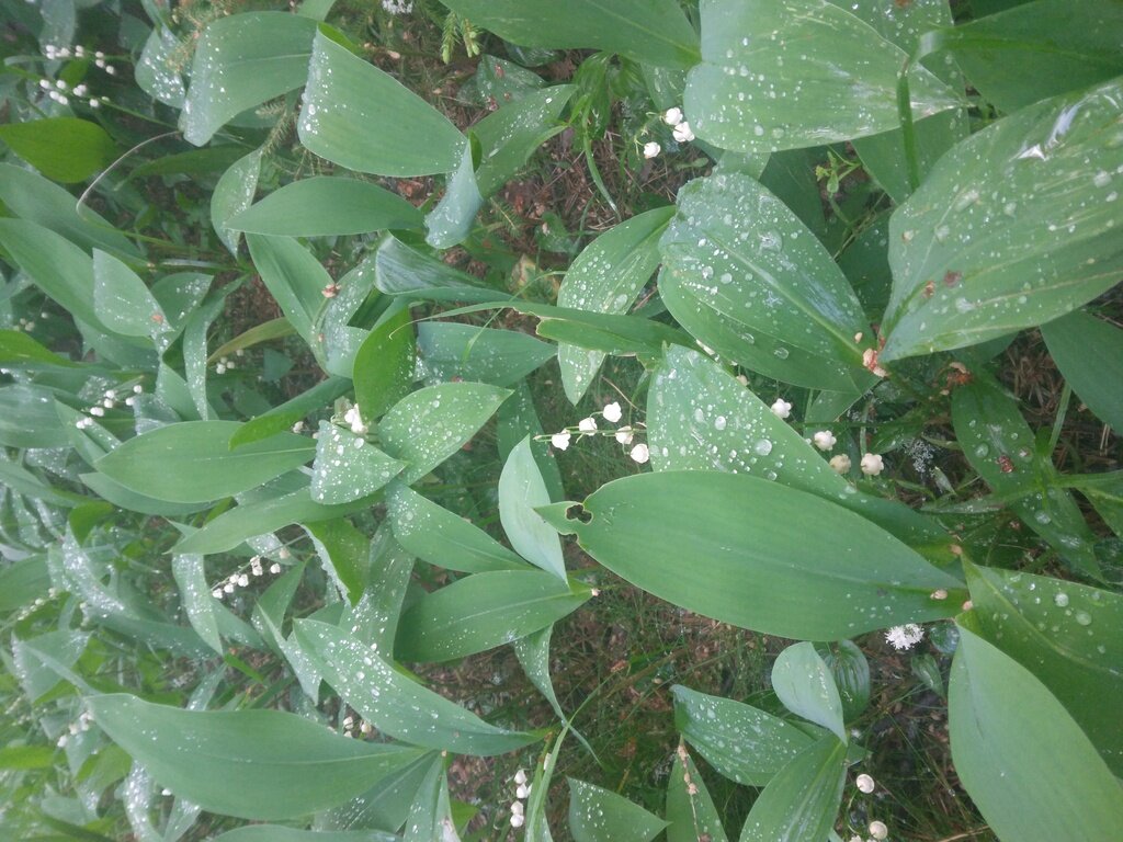 Фото из отзыва от 13.06.2022