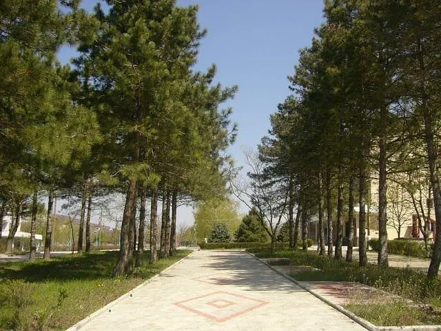 Аллея | Тешебс, Краснодарский край