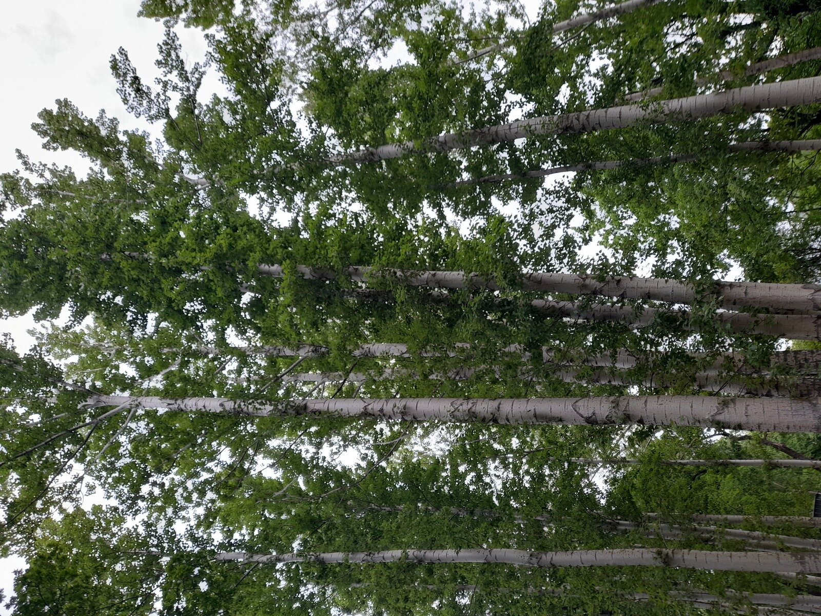 Фото 14 из отзыва о загородном комплексе Алые Паруса