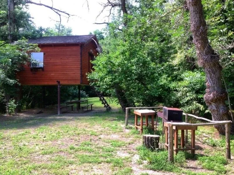 Кокос, Волгоградская область: фото 2