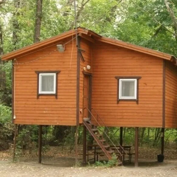 Кокос, Волгоградская область: фото 3