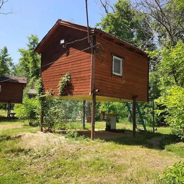 Кокос, Волгоградская область: фото 4