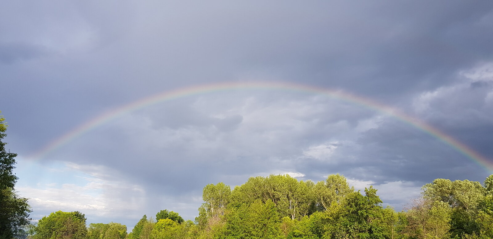 Фото 9 из отзыва о базе отдыха Фокино-Приволжье