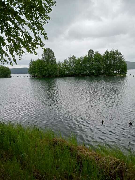 Фото из отзыва от 20.06.2022