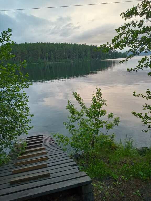 Фото из отзыва от 20.06.2022