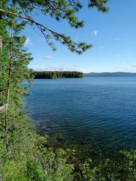 Фото из отзыва от 20.06.2022