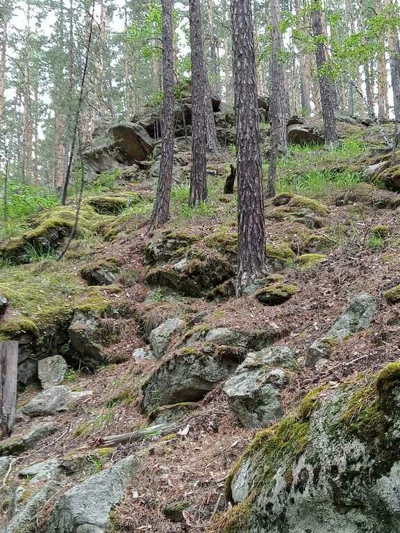 Фото из отзыва от 20.06.2022