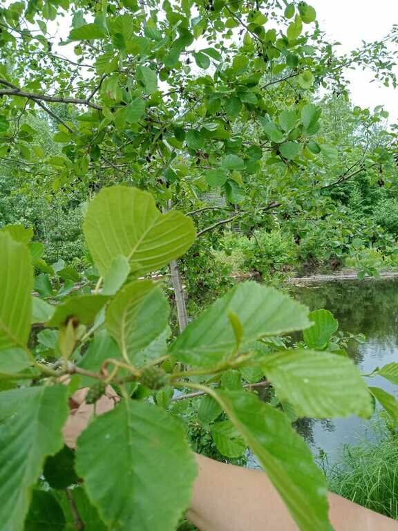 Фото из отзыва от 20.06.2022