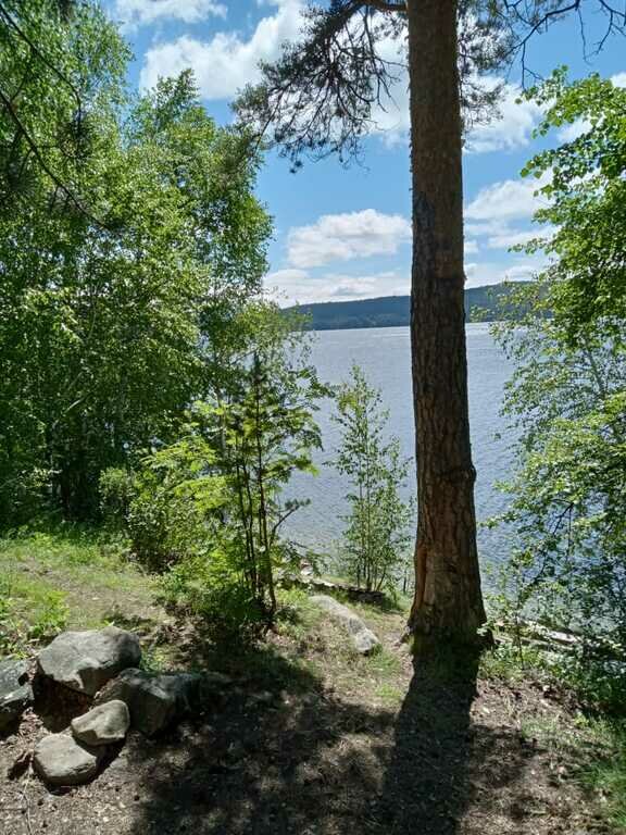 Фото из отзыва от 20.06.2022