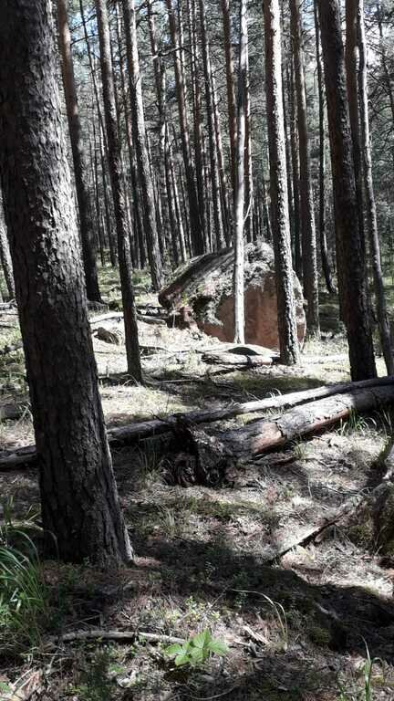 Фото из отзыва от 20.06.2022