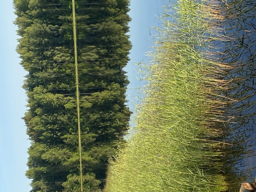 Фото из отзыва от 30.06.2022