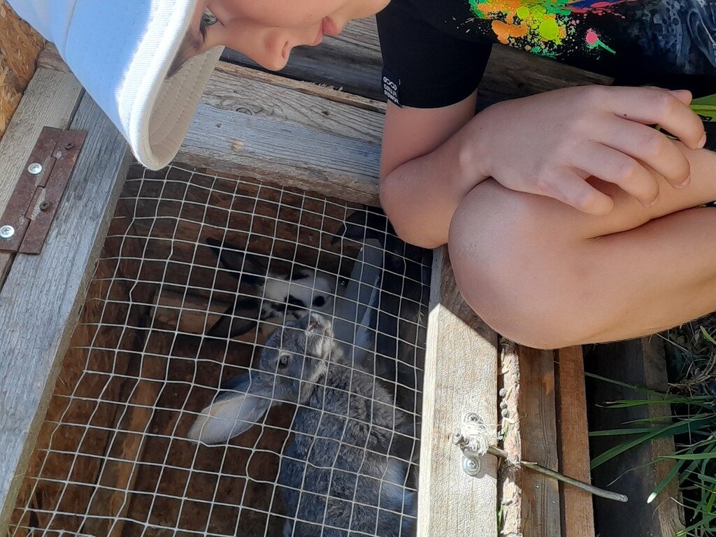 Фото из отзыва от 27.06.2022