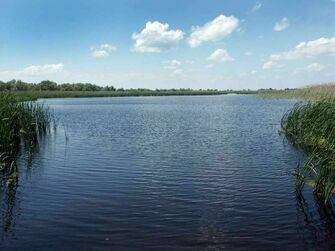 Водные просторы