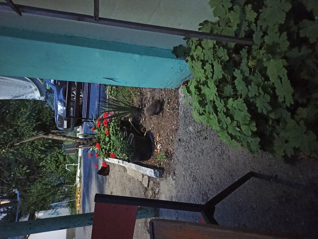 Фото из отзыва от 25.06.2022