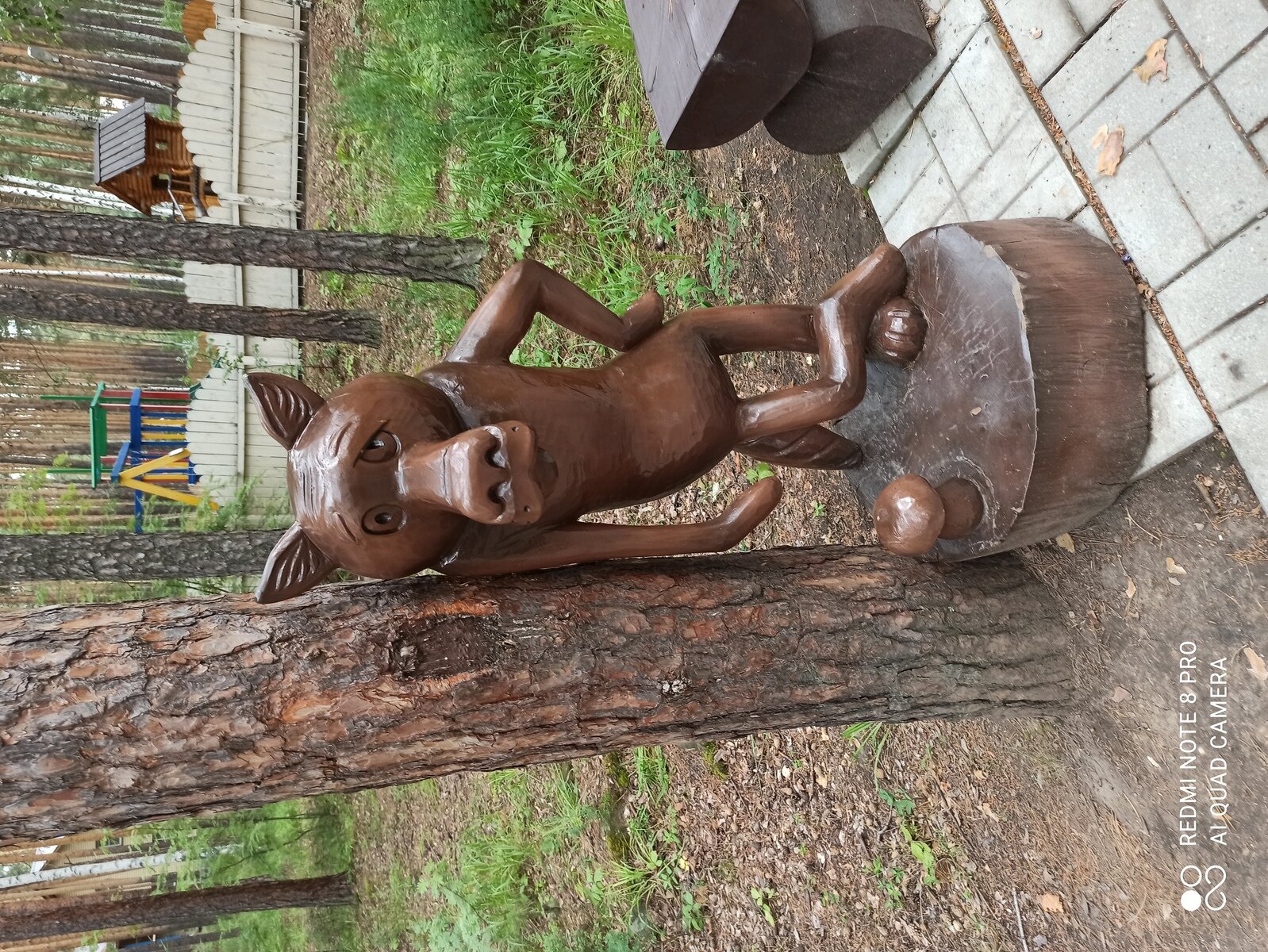 Фото 7 из отзыва о базе отдыха Лесное поместье