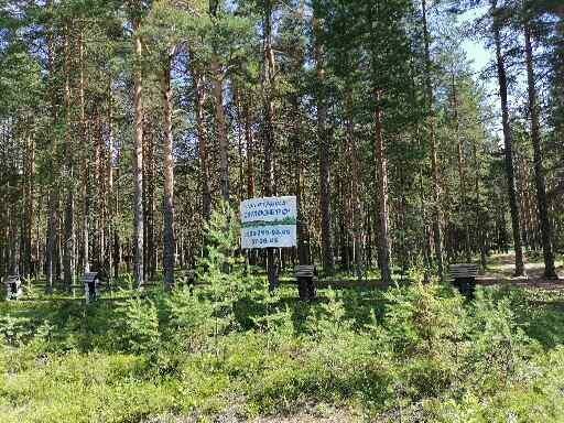 Фото из отзыва от 12.07.2022