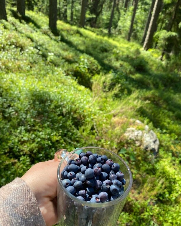 Фото из отзыва от 12.07.2022