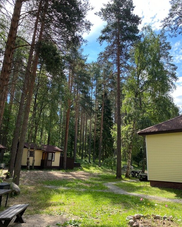 Фото из отзыва от 12.07.2022