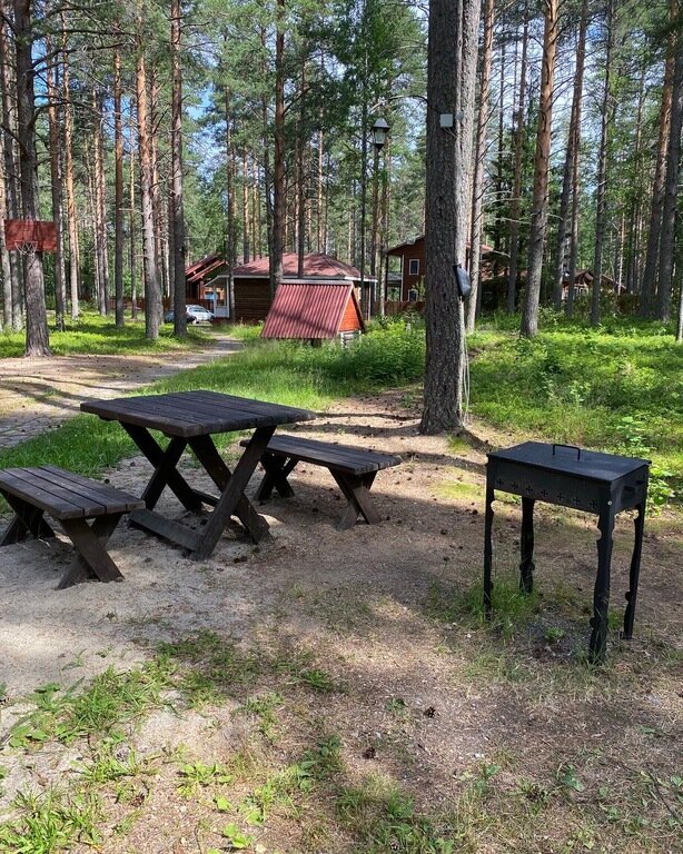 Фото из отзыва от 12.07.2022