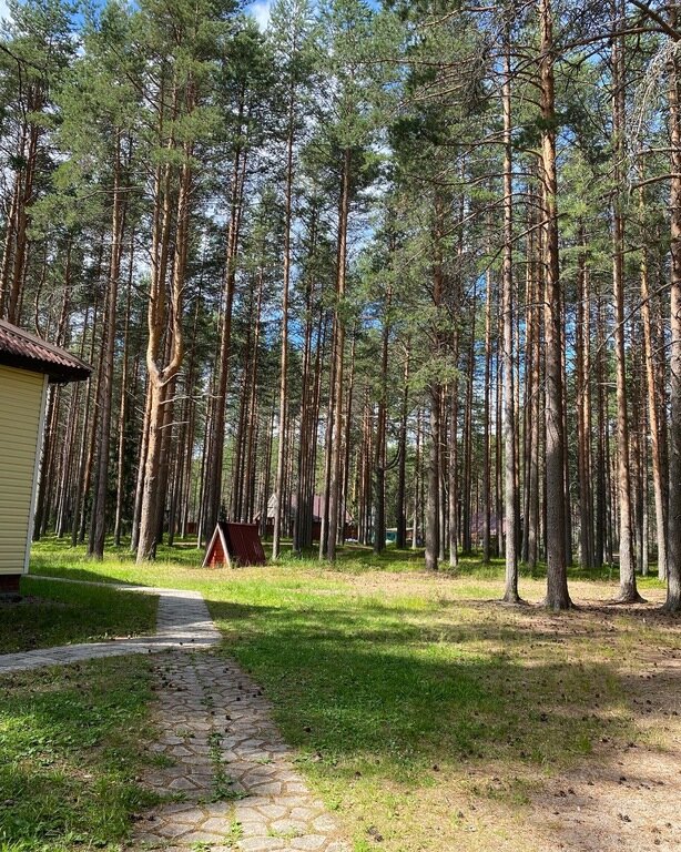 Фото из отзыва от 12.07.2022