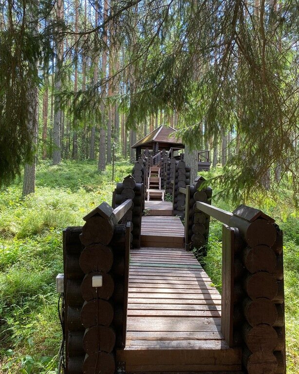 Фото из отзыва от 12.07.2022