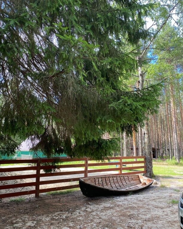 Фото из отзыва от 12.07.2022