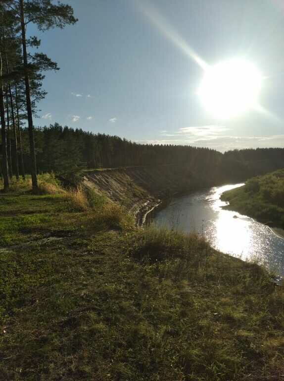 Фото из отзыва от 11.07.2022