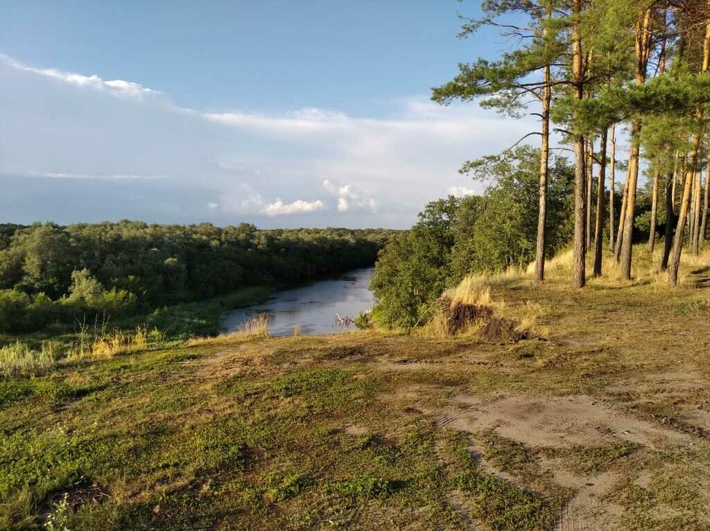 Фото из отзыва от 11.07.2022