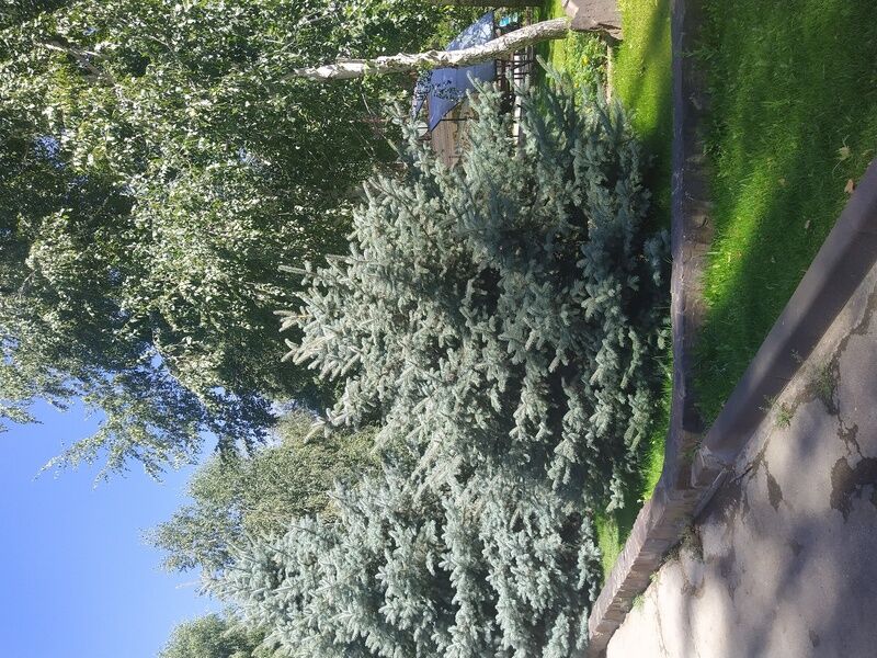 Фото 2 из отзыва о загородном клубе Загородный парк-отель Осинки