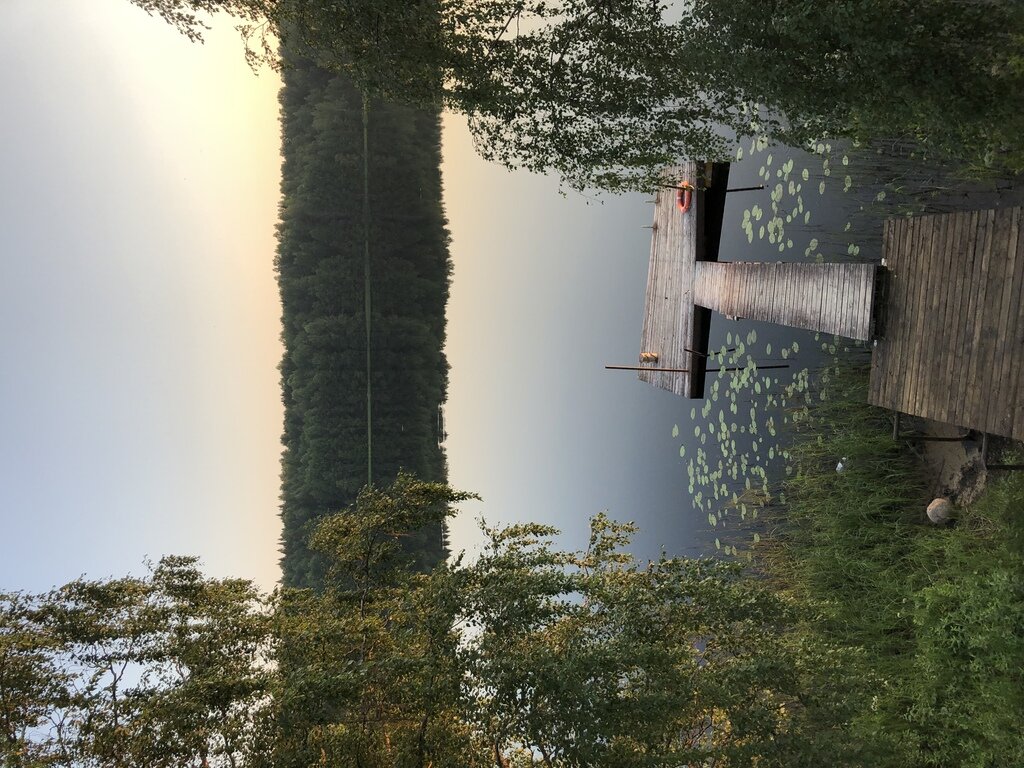 Фото из отзыва от 17.07.2022