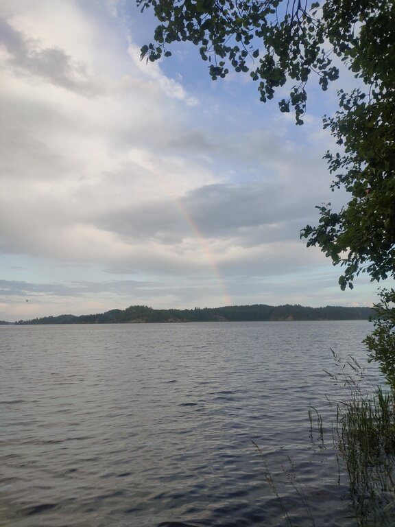 Фото из отзыва от 08.07.2022