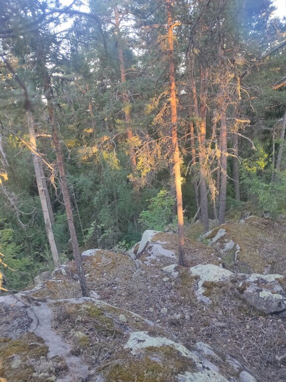 Фото из отзыва от 08.07.2022