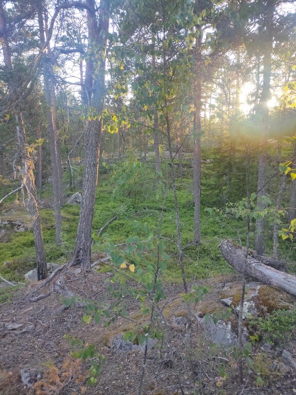 Фото из отзыва от 08.07.2022