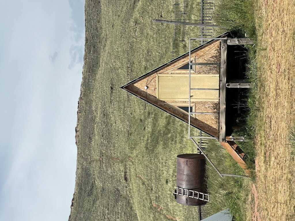 Фото из отзыва от 18.07.2022