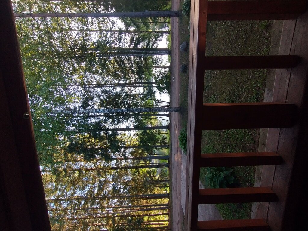 Фото из отзыва от 25.07.2022