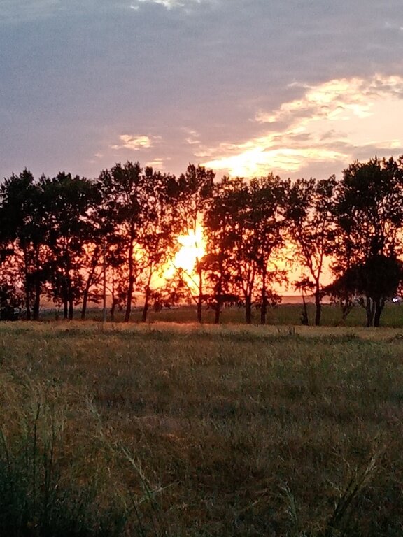 Фото из отзыва от 27.07.2022